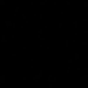 Meet your Posher, Callie